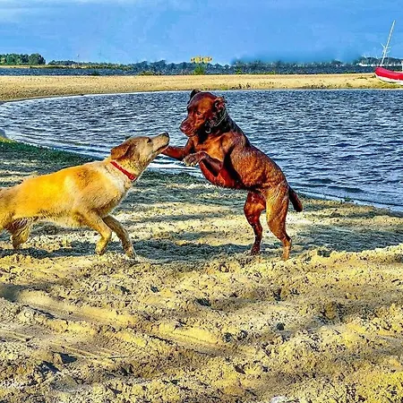 Ferienpark Bad Hophuizen Veluwemeer *